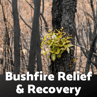 Bushfire Support for Small Businesses